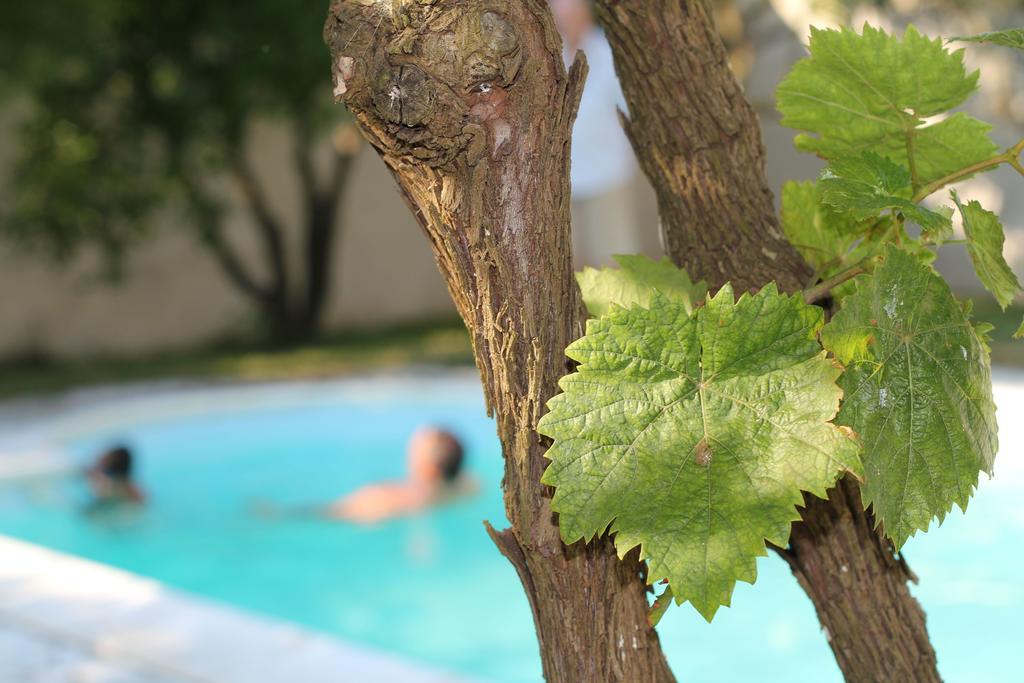 B&B Villa Romina San Cataldo  Luaran gambar
